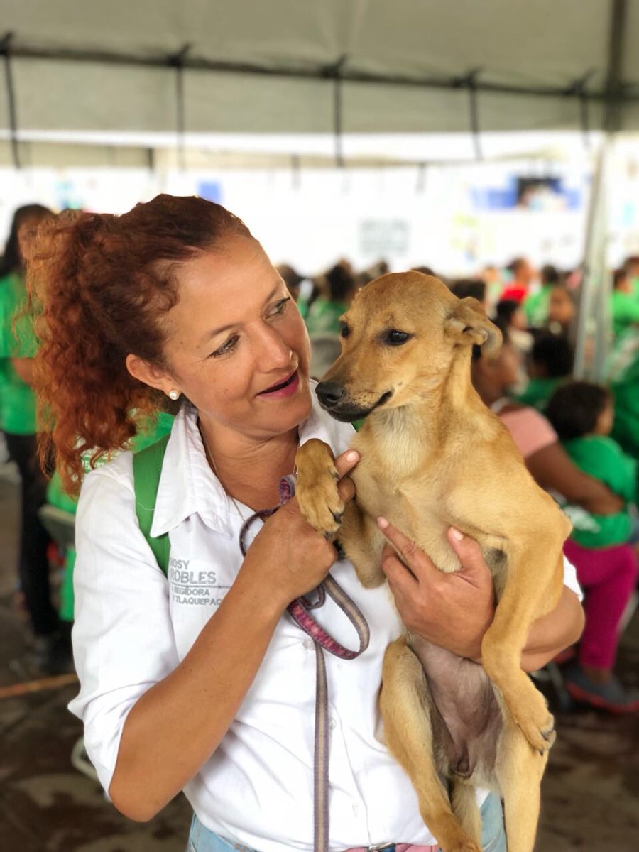 lia_labrador's tweet photo. Campaña a favor de nosotros los perritos. Vacunación en un cierre de campaña 🐶 wofff #perritos #petfriendly #vacunacion #mascota @DaniChavezE https://t.co/0wAb98sgue