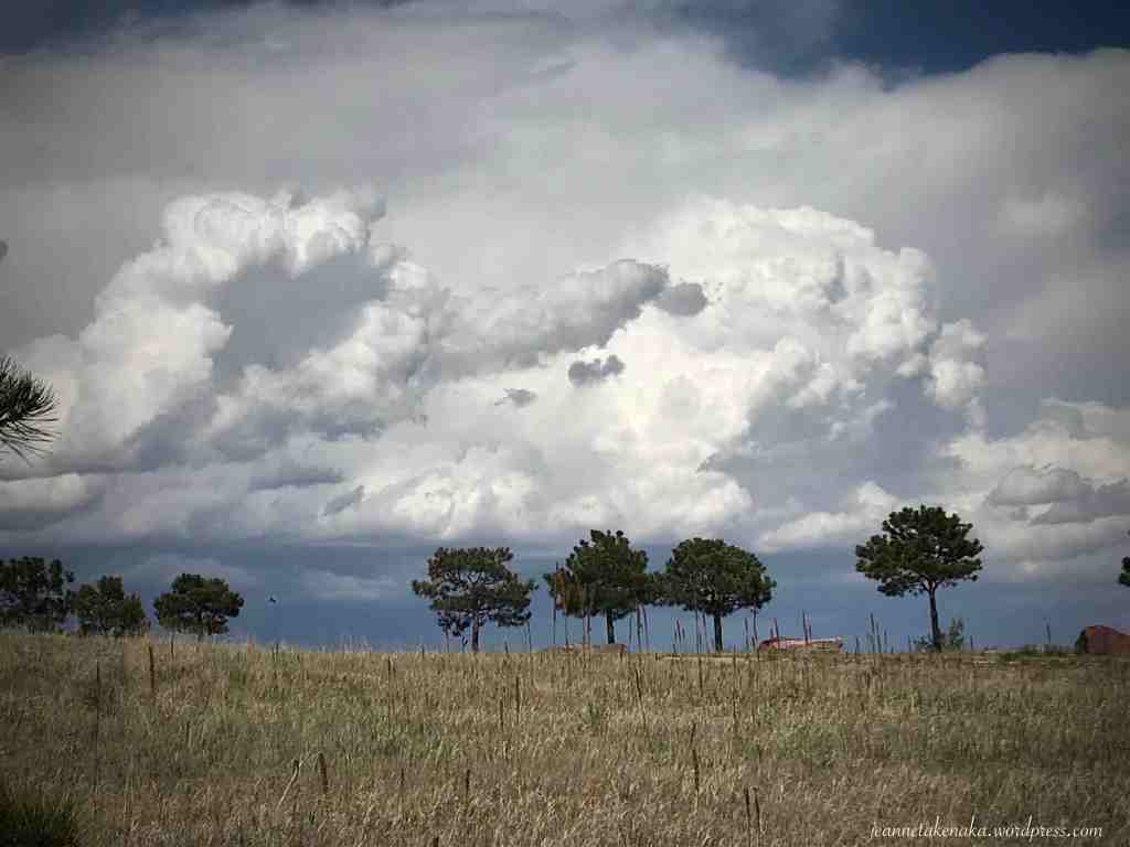 JeanneTakenaka's tweet photo. Perspective: When We Feel Stuck—Sometimes, God places us in a holding pattern because He is working a change of perspective in our hearts @JeanneTakenaka #perspective #whenplanschange https://t.co/JQgXqfyf3h https://t.co/p3DKGUFEpS