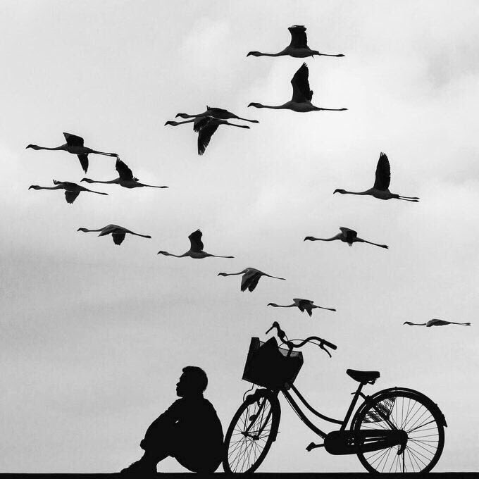 MaheshNBhatt's tweet photo. There is a street called solitude where we are least alone. https://t.co/1DM9kkJcUk