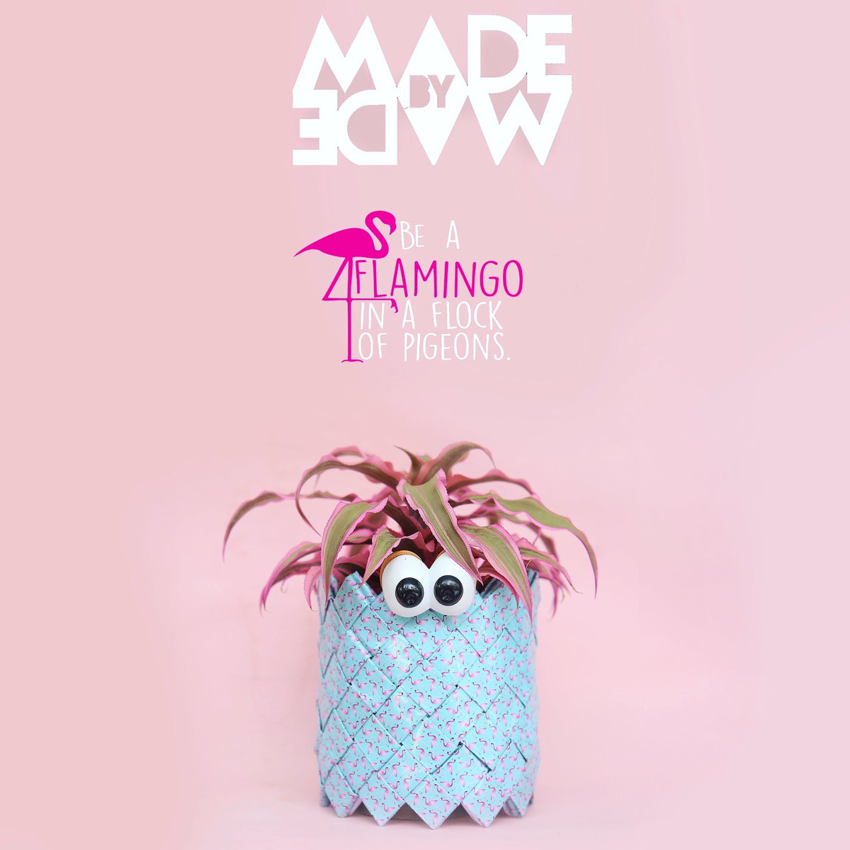 New creation by Made by Made.
A brand new refreshing collection of flower pots. 
Each piece is unique and one of a kind 🌸 
Get yours on my instagram @madebymadebali

New creations are coming soon :-) #madebymade #flowerpot #flamingo