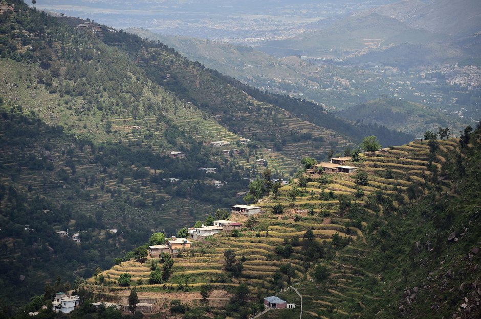 Green gold Pakistan plants hundreds of millions of trees

In 2015 & 2016 16000 labourers planted more than 900000 fast-growing eucalyptus trees in Heroshah
The change is drastic around the region of Heroshah, previously arid hills are now covered with forest as far as the horizon