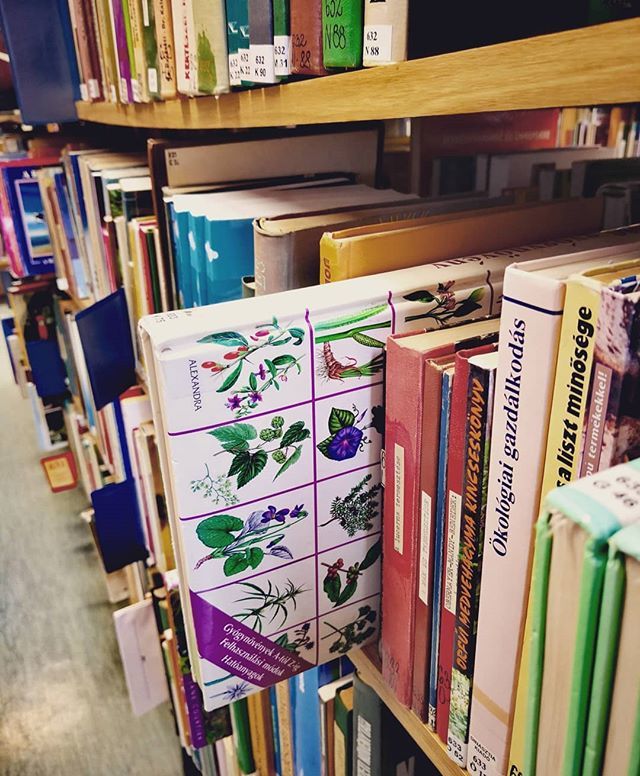 konyvutcablog's tweet photo. Még a nyári bezárás előtt elmentünk kicsit könyvtárazni.😍
#könyvutca #könyvfotó #bookphotography #bookstagram #könyvtár #library #kedvencprogram #favoriteprogram https://t.co/zdzn0uMFIj