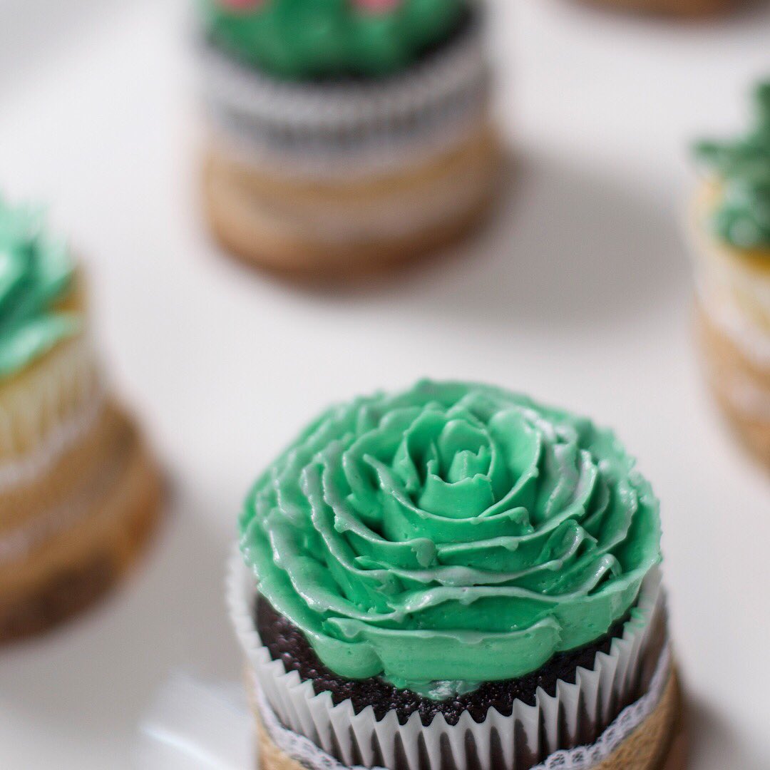 chietopia's tweet photo. Here’s a sneak peak of Nicholas’s baptism #cupcakes. Considering the fact that I do not have a green thumb whatsoever, I studied @1crazyplantlady ‘s beautiful #succulents so that I can understand the differences b/n each one🌵🌱#Chietopia https://t.co/H2qI4O2A4w
