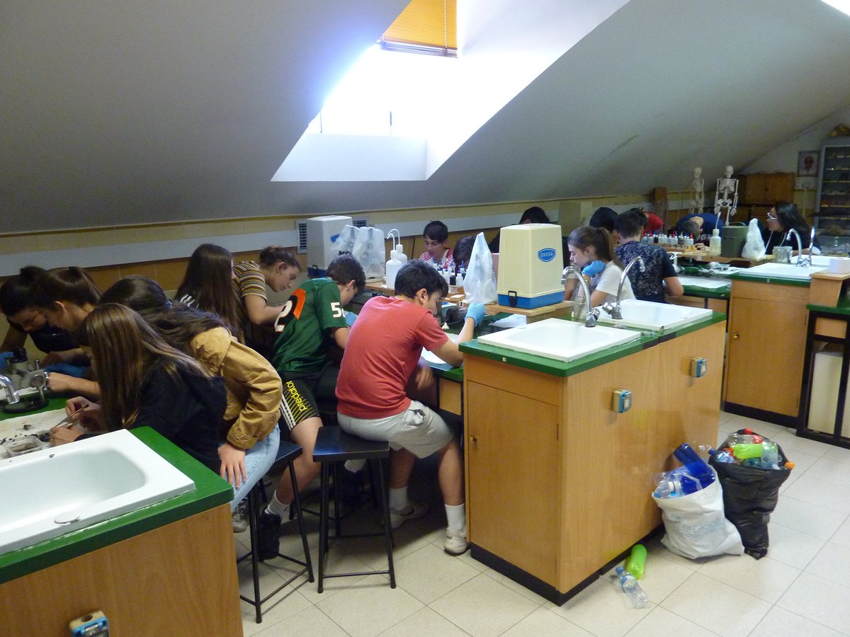 SalesGuada's tweet photo. La semana pasada desarrollamos en la ESO la "I Semana de la Ecología", donde todos los alumnos participaron en actividades de fotografía, reciclaje, observación de insectos, documentales, coordinado por el equipo de @Ecoescuelas1 #semanaverde #esosalgu https://t.co/whZSflhDvC
