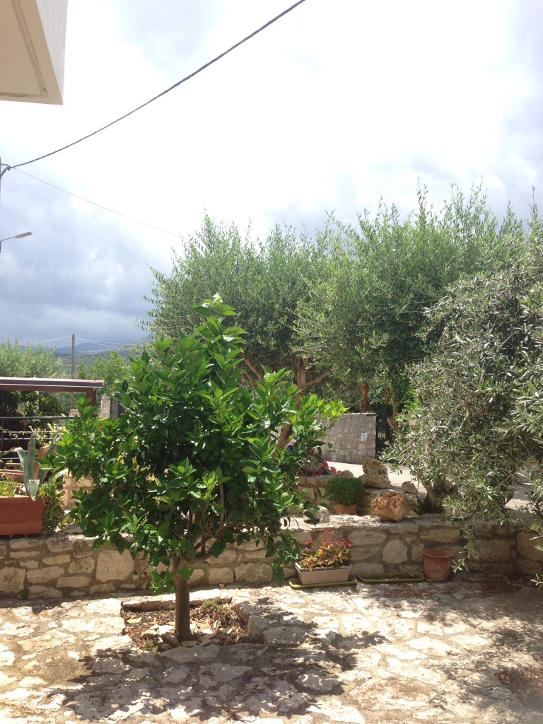 georgiopoulis's tweet image. And the Rain comes again in #Asproullianos #Crete coupled with high winds today
