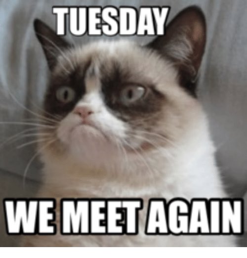 TrifocalClean's tweet photo. Fired up and Ready to go #TuesdayMorning. https://t.co/AQvAY3LEir