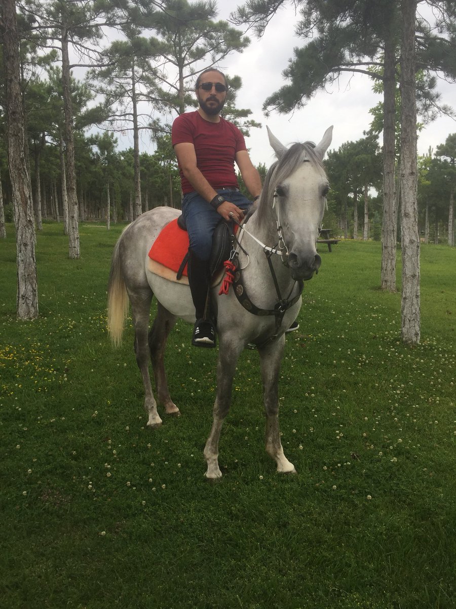 osmanlimustafam's tweet photo. @trtdunbugun @dgknturkmenoglu @_cananarslan_ @SareNalbant Konyadan hayırlı sabahlar https://t.co/9vaRKegvO0