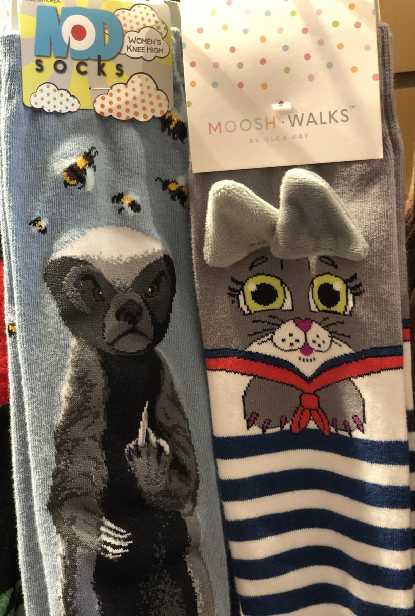 mooshwalks mooshwalks twitter