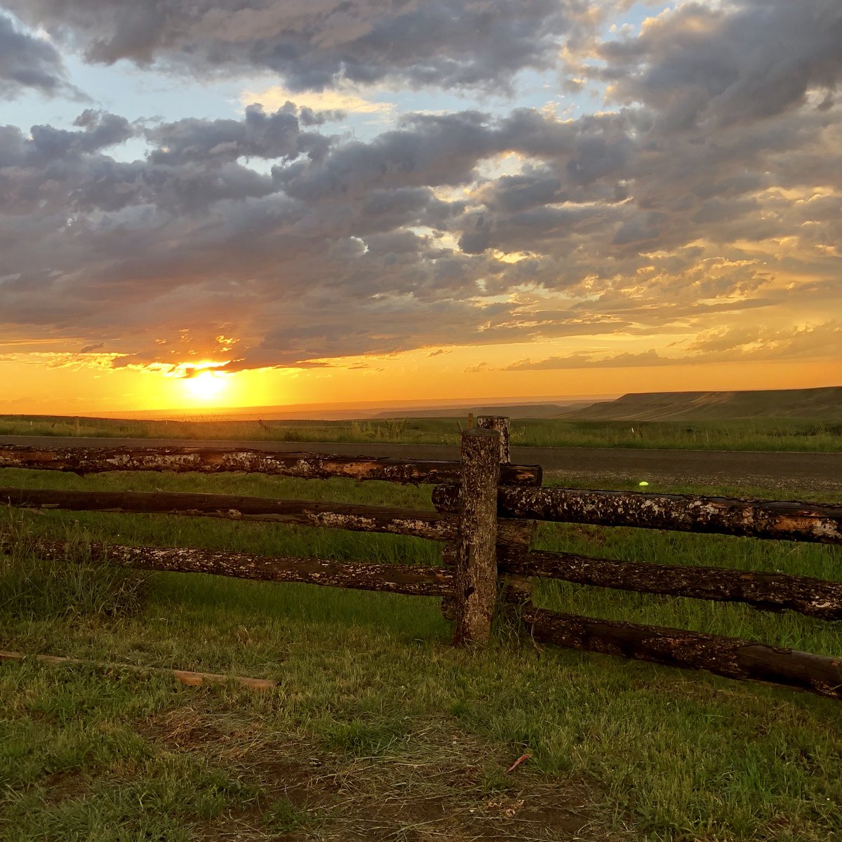 Chad Schearer tweet media