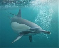 @africanwatersports tweet media