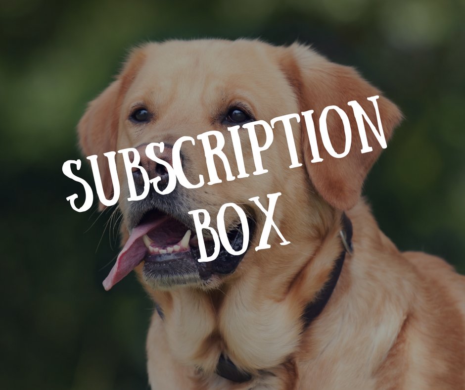 PoochPackageUK's tweet photo. Want to try one for free? No problem! Head to the website and enter FIRSTBOXONUS at the checkout to get a box of dog toys, treats, accessories, grooming goodies, healthcare products &amp; more completely FREE! https://t.co/MbYmtDVsaX #poochpackage #subscriptionbox #dogsoftwitter #RT https://t.co/FWJ4KKWrYn