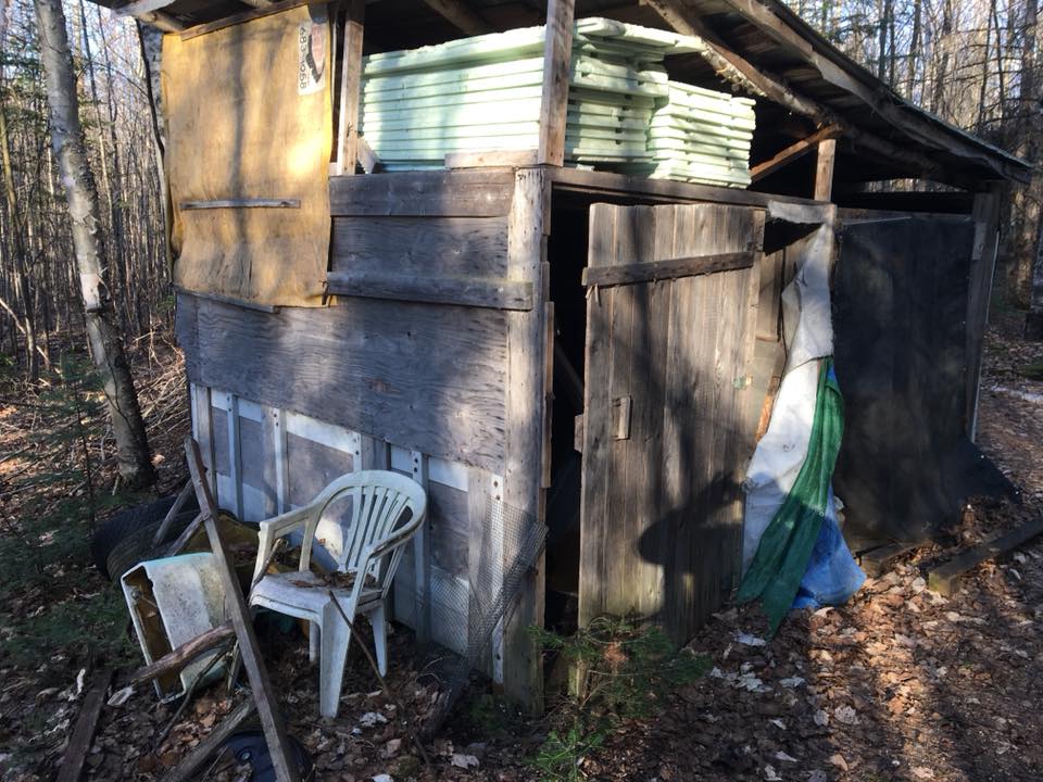 Hello, Let's see your hide on the floor