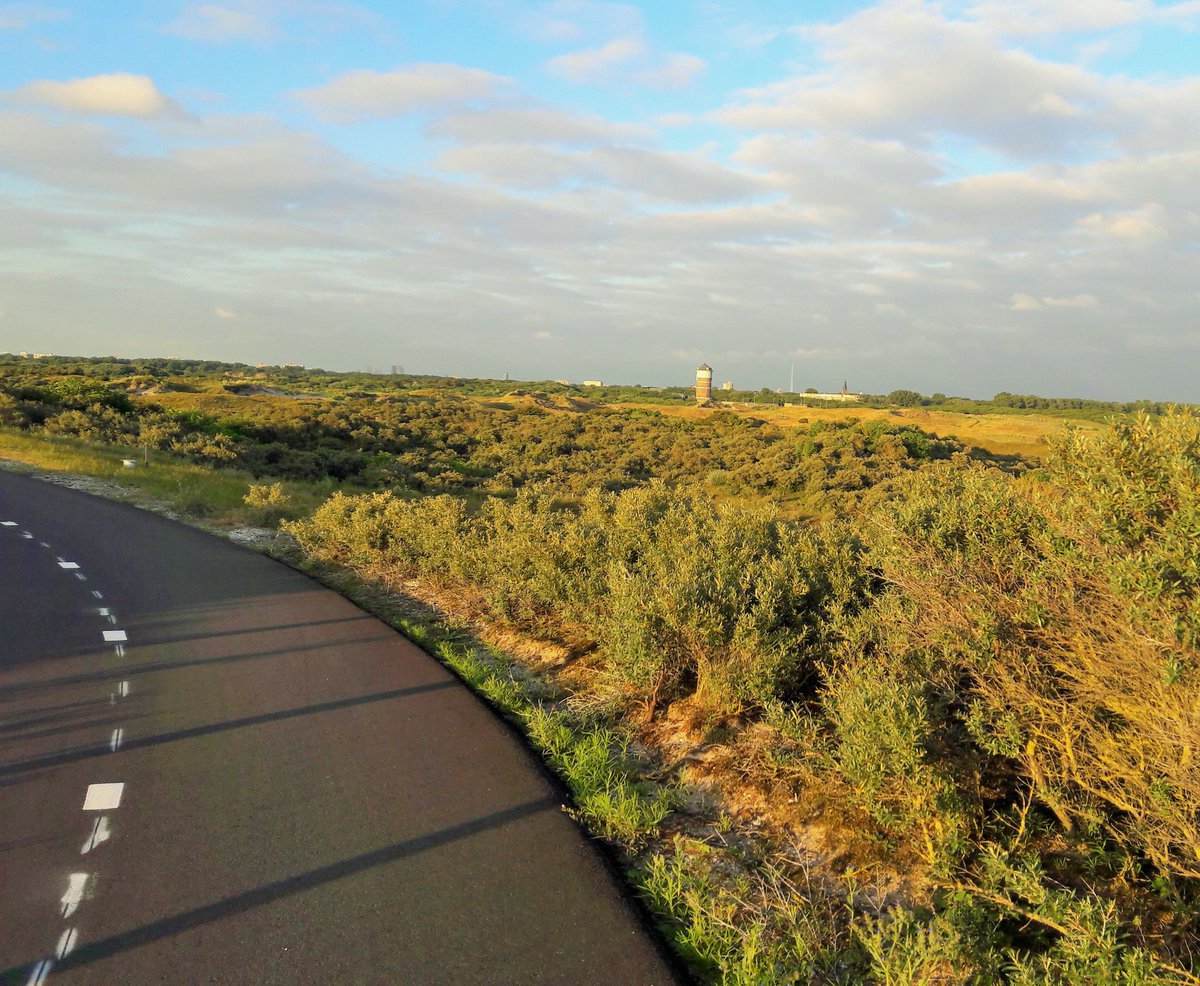 VeritasVisit_nl's tweet image. What I did before I cycle back through the dunes &amp;amp; along the beach bit.ly/2M5N7kk 
.
.
.
🚲explore #hollandbybike #howelse 🚲 #cycling #outdoors #travel #countryside #nature #netherlands #biketour #holland