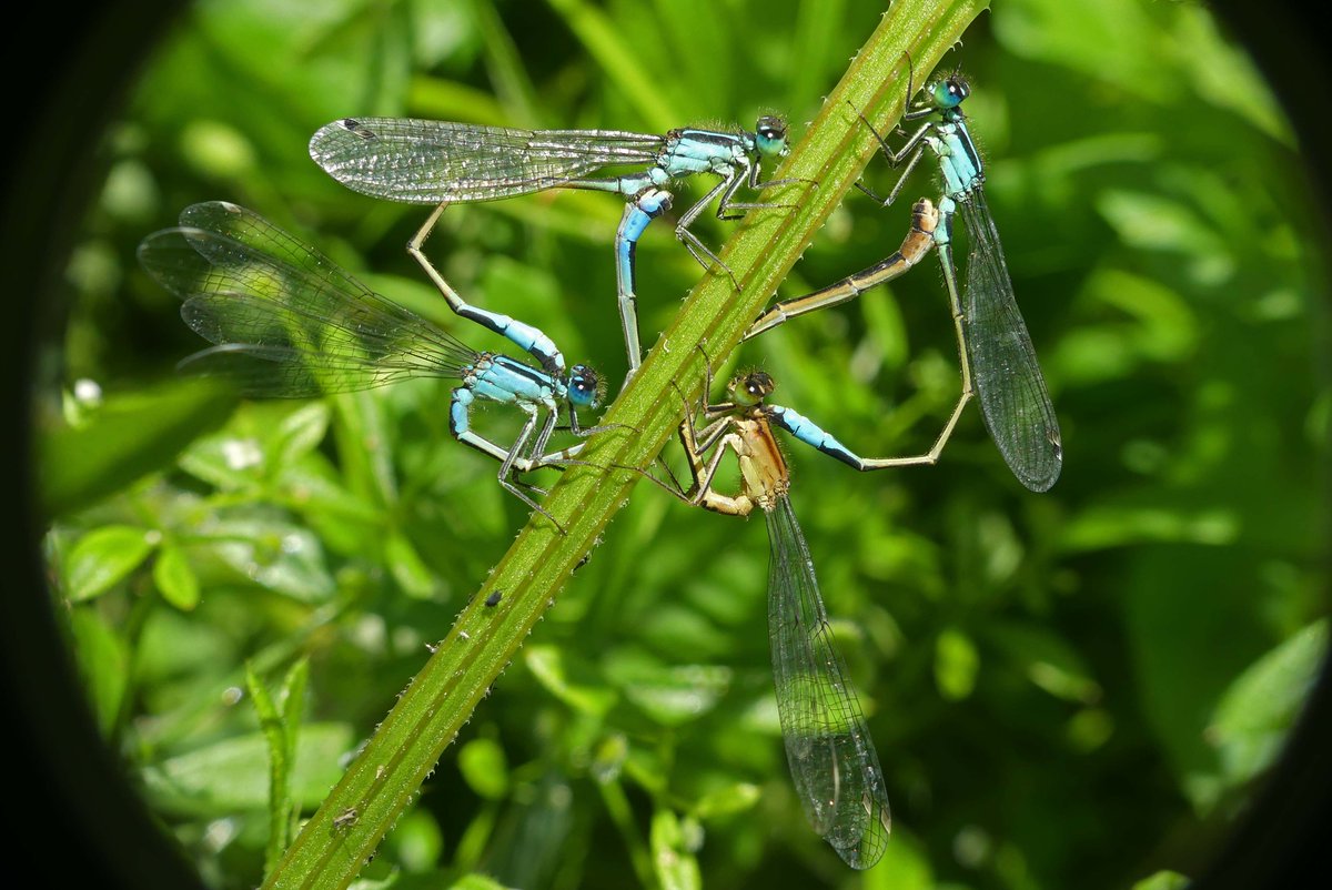 David Turrell tweet media