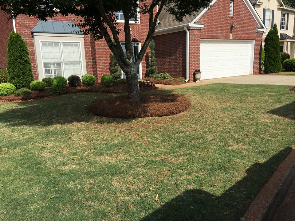 strongarmland's tweet photo. Residential Landscape Georgia

Source:- https://t.co/vNws87piEH

#strongarmlandscaping #Residential_Landscape_Georgia https://t.co/vKeYrCFDgk