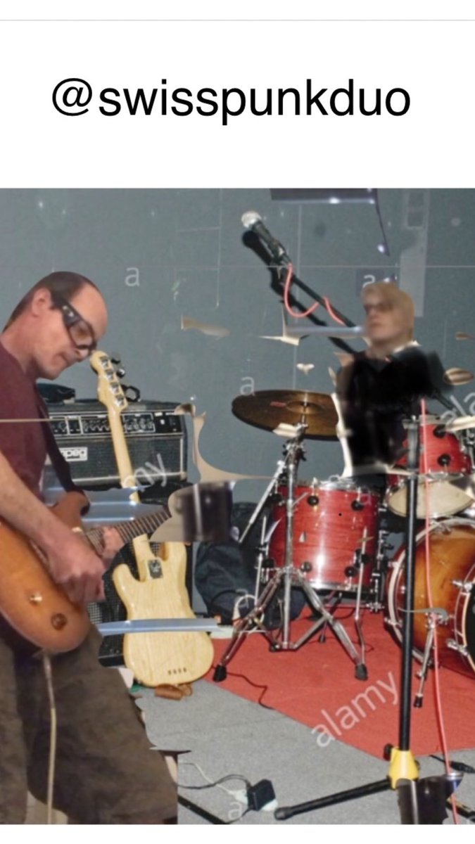 Swiss Punk Duo (@swisspunkduo) on Twitter photo 
