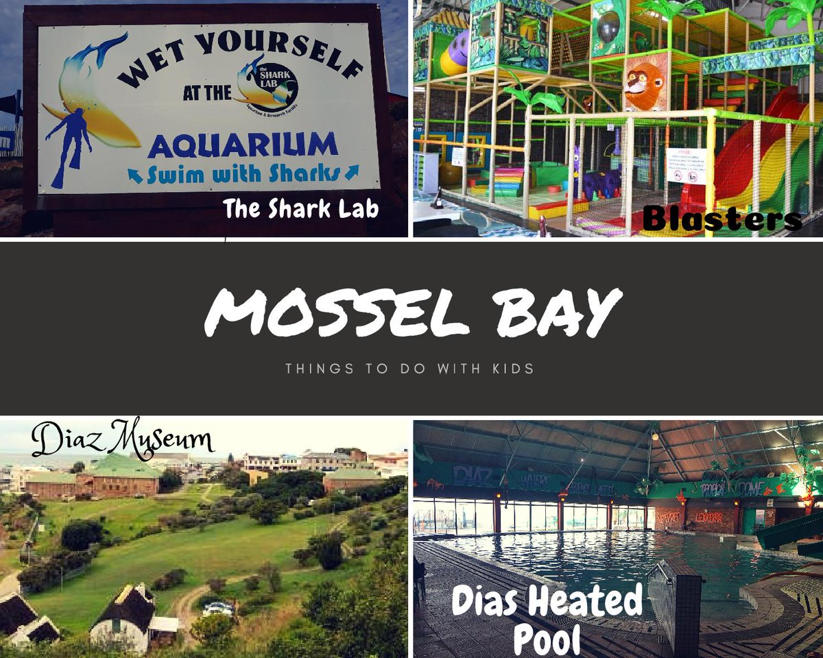 SouthernStaying's tweet image. #Mosselbay &amp;amp; #Gardenroute is a #familydestination with a magnitude of things to do for the whole family - there are literally too much to do for just one holiday! #thingstodowithkids #FamilyFun #holiday #taketimeoff #diazexpress 

Book accommodation at southernstaying.co.za