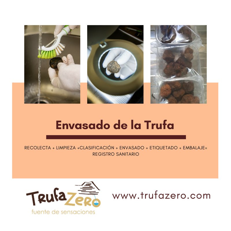 TrufaZero's tweet photo. Trufazero dispone de Registro Sanitario para una correcta comercialización y consumo de la Trufa.
#registrosanitario #trufa #envasado #limpiezatrufa #truffler #cifuentes #consumooptimo #gourmet https://t.co/u88LyVpJYw