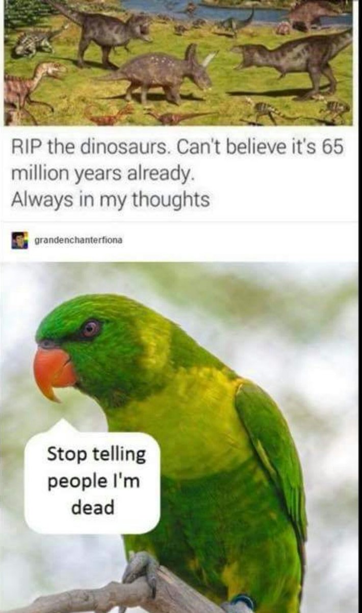 Sean Jp Markey tweet media