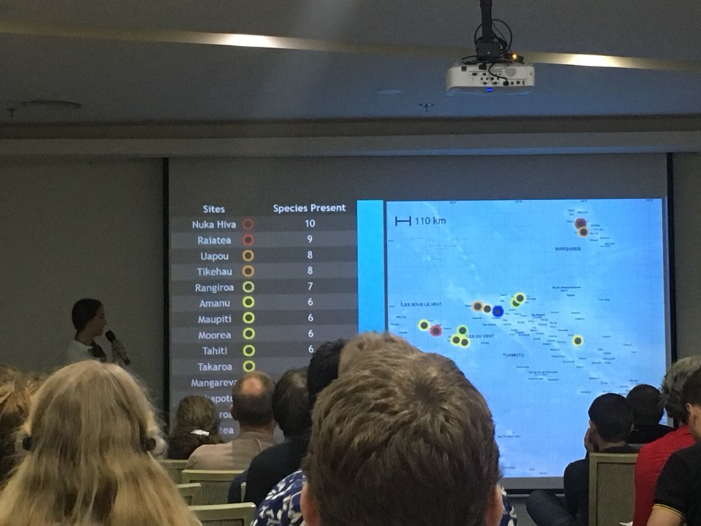 hollieboothie's tweet photo. Elasmos present in almost 80% of @globalfinprint sampled sites in French Polynesia! 😱🦈🦈🦈 next dive holiday destination sorted 😎 #sharktastic @nffarabaugh #sharks #sharksanctuary @IMCC2018 #IMCC2018 #MakeScienceMatter #WomeninScience https://t.co/zADREkzyVH