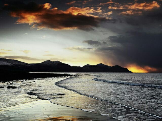 سَأُغادر يومًا ما لَن أَلتفت ورائي، لَن أَذرفَ دمعةً واحدة، لَن أُلوحَ لأَحد، وقلبي سأَضعه في حقيبةِ السفر و سأَنسى عمدًا هذه الحقيبة !!!