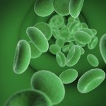 cbdorigin's tweet photo. What is CBD Bioavailability and Why it Matters- Read the Full article at: https://t.co/PGuZmFZpLE #CBD #CBDOrigin #CBDLife @CBDorigin https://t.co/J52a2ARWjV