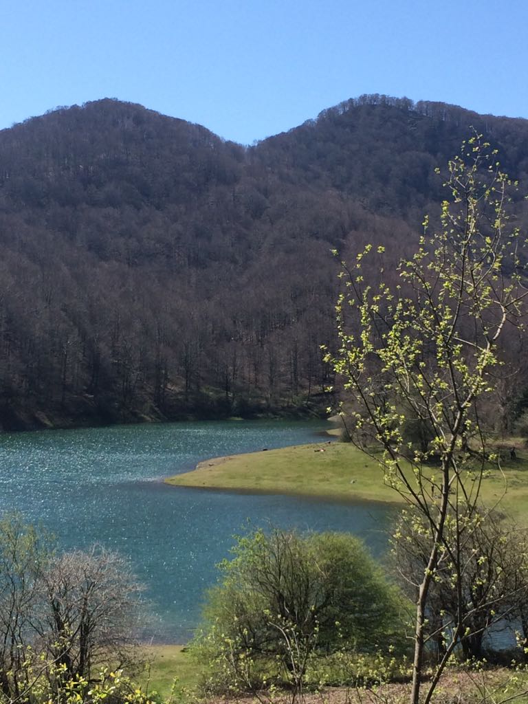 Baztan_Bidasoa's tweet photo. ¿Qué mejor que un #embalse para combatir una jornada calurosa?#Embalses de #Leurtza #Área recreativa #Malerreka @Baztan_Bidasoa #paseosadaptados #Ocio #turismofamiliar 
#Leurtzako urtegiak, aisialdirako prestatuta #paseoak #irisgarritasuna
https://t.co/Tetxs6Jp6q
@doneztebeudala https://t.co/t1ILuba5Ky