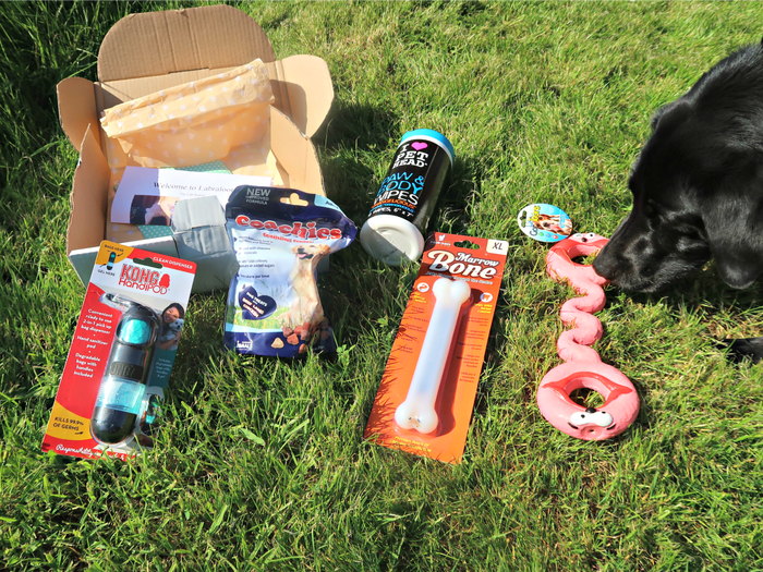 PoochPackageUK's tweet photo. We love seeing our boxes being opened and enjoyed! Get your first box free by entering FIRSTBOXONUS at checkout https://t.co/f44iPH2Q7n #poochpackage #subscriptionbox #dogsubscriptionbox #RT #uksubbox #subbox #smallbiz #doglover #dog #petsubscriptionbox #dogsoftwitter https://t.co/EyUYX74mkC