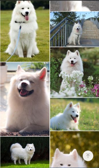 If you feel lonely, why not keep a pet like this ?