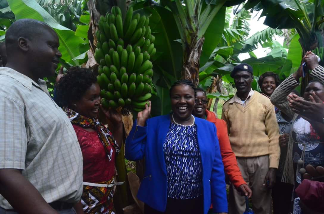 Do you have any question on agriculture  you wish to ask her excellency the Governor @LabosoJoyce  and the CEC in charge? 
Don't miss to attend our breakfast show Nenetesetai on Friday at St bakita catholic hall in Bomet town beginning 0800am 
#RutoitabChamgei