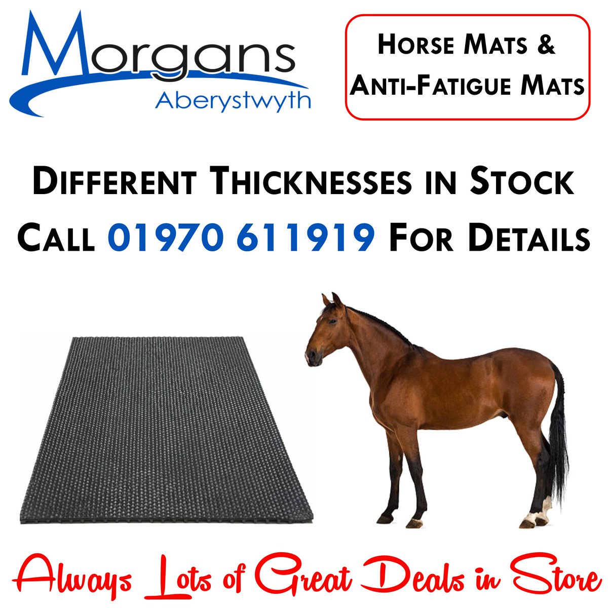 Morgans Aberystwyth (@morgansofaber) on Twitter photo 