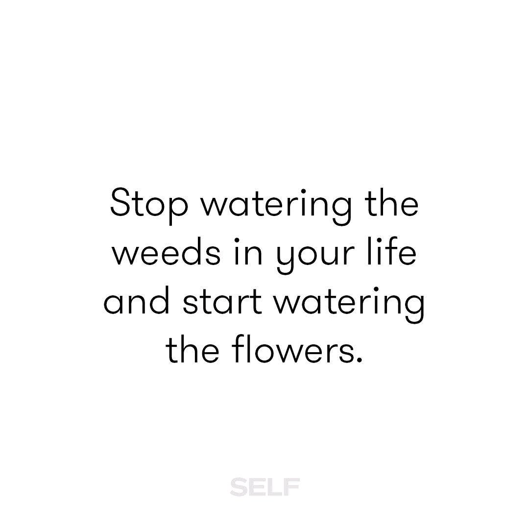 CasmaraNewYork's tweet photo. Starting off the day with some wise words from @selfmagazine: 

"Cultivate the relationships in your life that make you a better person. 💕🌸 #TeamSELF"

#Quote #quotes #quotepic #quotespic #Casmara #self #skincare #casmaraeastcoast https://t.co/UqrWhxOozc