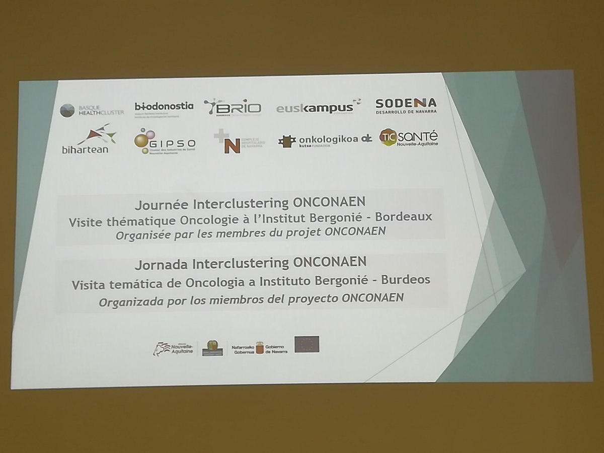 TICSanteNA's tweet photo. Début de la journée interclustering #ONCONAEN @BERGONIE33 avec nos partenaires espagnols https://t.co/N3Gxxtg2ek