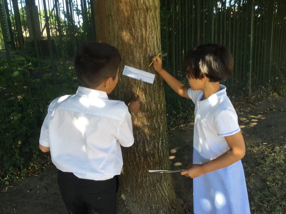 edgewickprimary's tweet image. Maths treasure hunt in the sun! ☀️🔢 #Year2