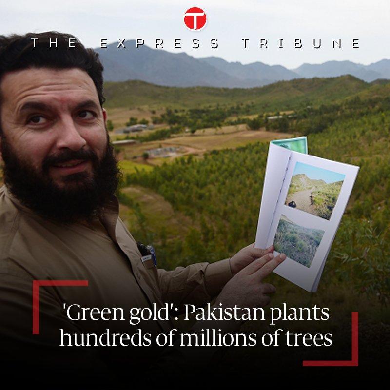 In 2015 and 2016 some 16,000 labourers planted more than 900,000 fast-growing eucalyptus trees in Heroshah
tribune.com.pk/story/1742707/1