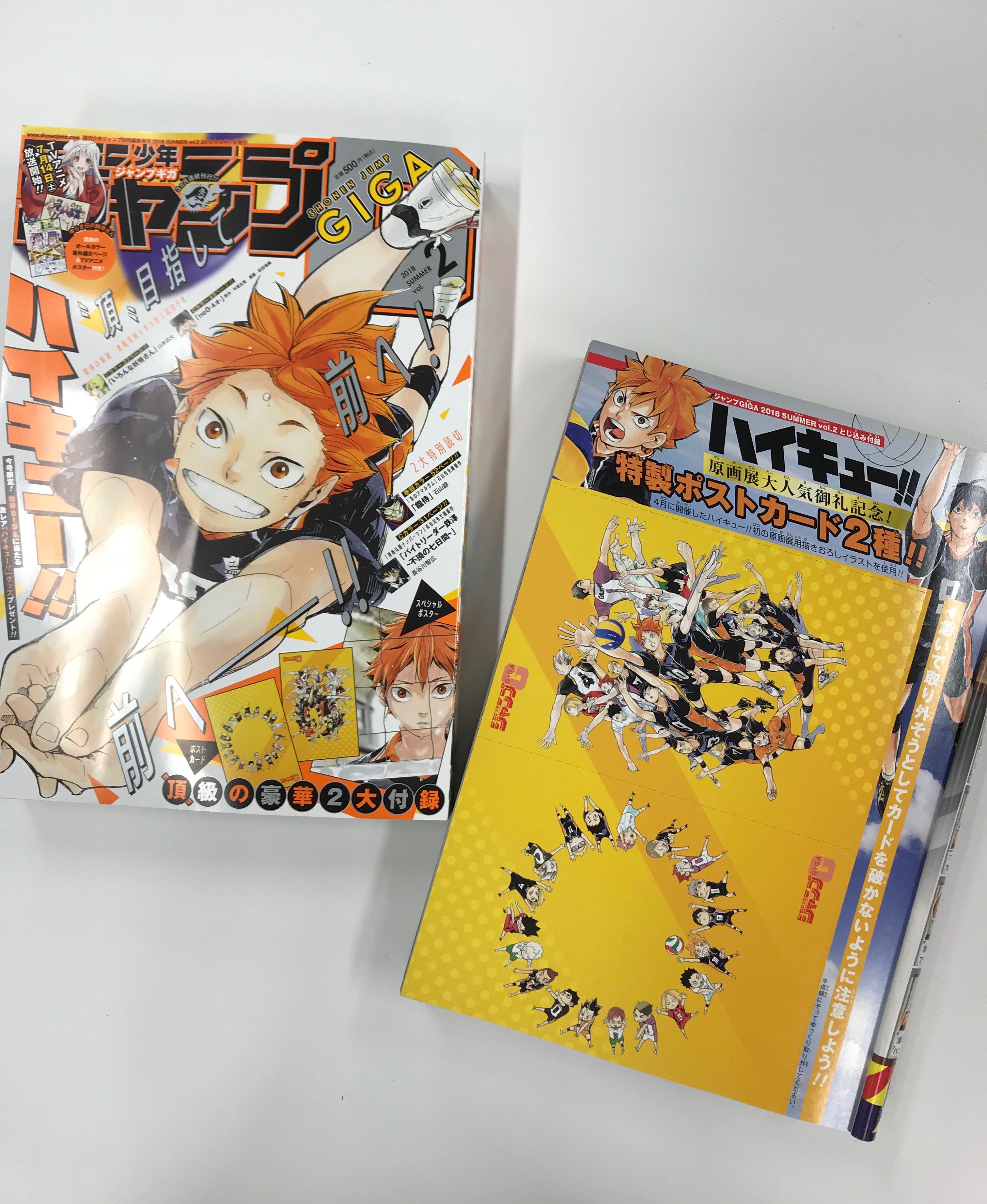 駿河屋 -<中古>日向翔陽 描きおろし複製サイン色紙 「ハイキュー