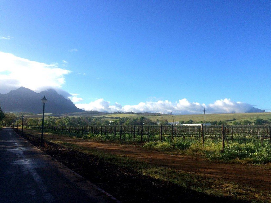 Wine lovers, take note: South Africa is on its game for white wines! The country’s whites are now deserving of every wine consumer’s attention, not least for the excellent value they have to offer. #WOSA #Hannuwa #CapeWine2018 <a href="/JamesSuckling/">James Suckling</a> >>bit.ly/2lBX1PI