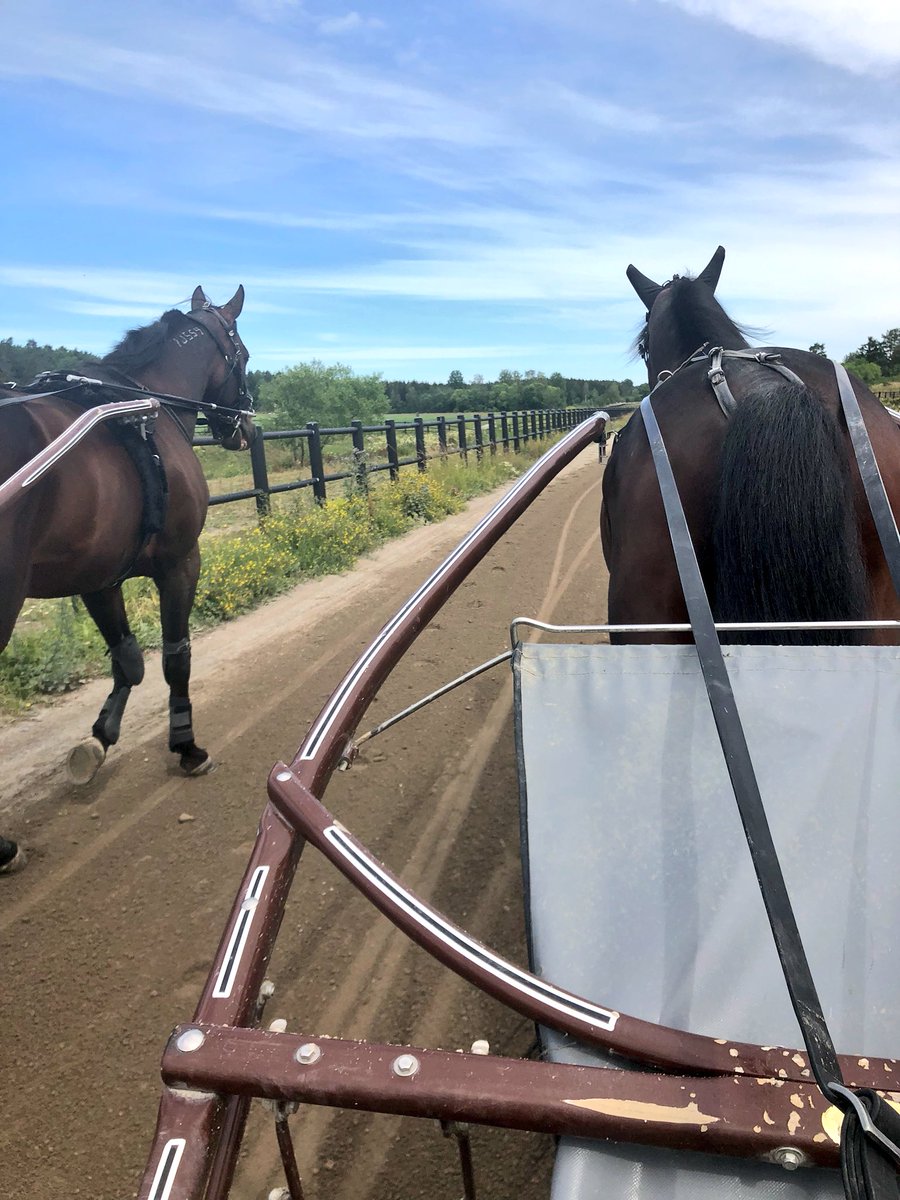 stallzet's tweet photo. Propulsion och perfect Spirit ska träna lite ihop nu ☺️ https://t.co/mWjErnJxqd