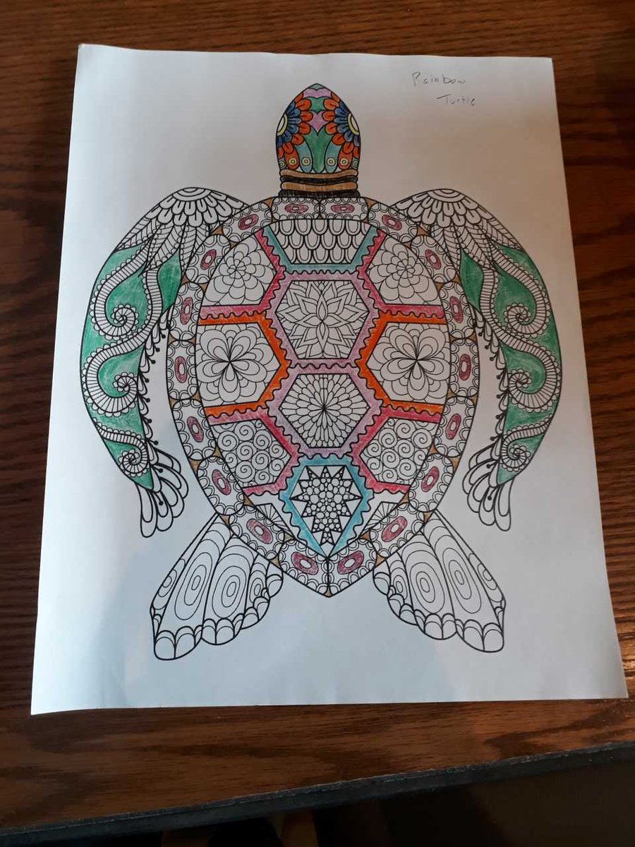 MSUMuseum's tweet photo. Happy #TurtleTuesday! Carson Corrigan is our week 2 winner from @MSUAOP - stop by the #MSU Museum's table in Case Hall, make some artwork, and enter to win a gift certificate to the Museum Store! #msuaop https://t.co/qmLYgdI2sO