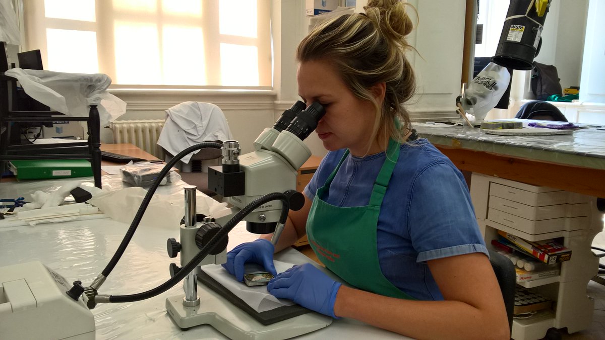 BMTconservators's tweet photo. Your chance to go behind the scene at the conservation lab in Birmingham Museum and Art Gallery 1400-1530, 10th July 2018 https://t.co/pgZIH2a13n https://t.co/jMm4ZOvOE3