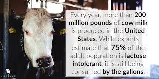 Cowtippers tweet media