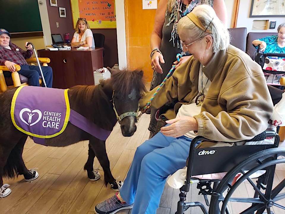 CentersHealth's tweet photo. 🐎💞Another successful #HappyHorseProgram visit for the books! Our #EssexCenter residents had a blast &amp; cannot wait till the next mini horse visit💞😊 #CentersHealthCare #HeartHealthHome #recreation #animaltherapy #happiness #seniorliving #eldercare #horses https://t.co/sHsE7I2Jtc
