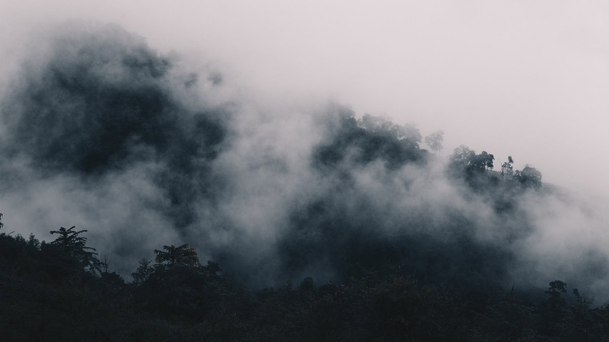 oadenn's tweet image. เพราะฉันหลงรักดอยภูคา  | จ.น่าน

#Review_Thailand 
#รีวิวไทยแลนด์ 
#รีวิวน่าน 
#เราตายภาพยังอยู่