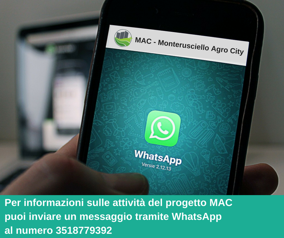 Vuoi essere informato sulla attività del progetto? Farlo è semplicissimo...puoi scriverci un messaggio tramite il nostro numero whatsapp 3518779392. 
Il servizio è attivo dal lun- ven dalle ore 10.00 alle ore 18.00. 
#MonteruscielloAgroCity #Pozzuoli #Napoli #1stUIAcities