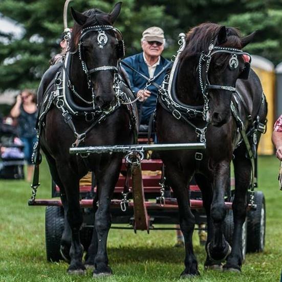 FestivalNomadCA's tweet photo. #PortHope Demo Derby #CanadaDay Weekend June 30th Join in the fun ... then SAVE THE DATE #PortHopeFallFair Sept 14-16, 2018 "Country Roots & Cowboy Boots" @porthopefair Join in the Fun! #agriculture #Fair #farm #music #food #Horse Jumping @VisitPortHope @perfectwknds https://t.co/ItWOa382f3
