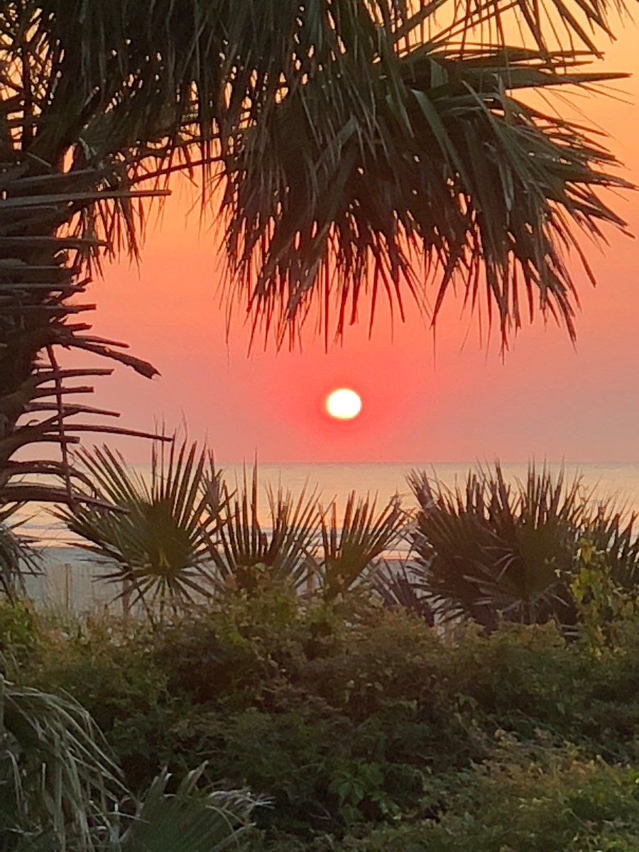 BeachPropertiesHHI tweet media