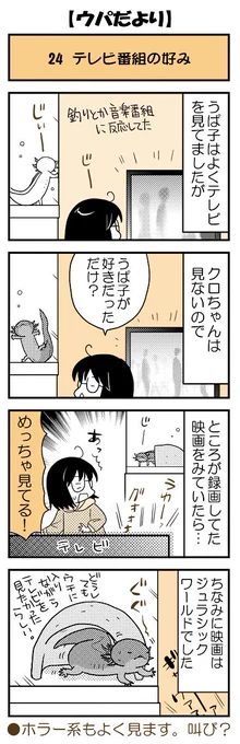 【ウパだより24】なるべく火曜公開のウーパールーパー4コマ。「うぱ子だより」の頃にも描いたテレビのことですが、クロちゃんの反応は。
ウパのグッズや本の通販はコチラ→(https://t.co/5eoVFWNE2C)、単行本も発売中!(https://t.co/zudosL9eWu)■ #ウパだより #うぱ子だより #ウーパールーパー 