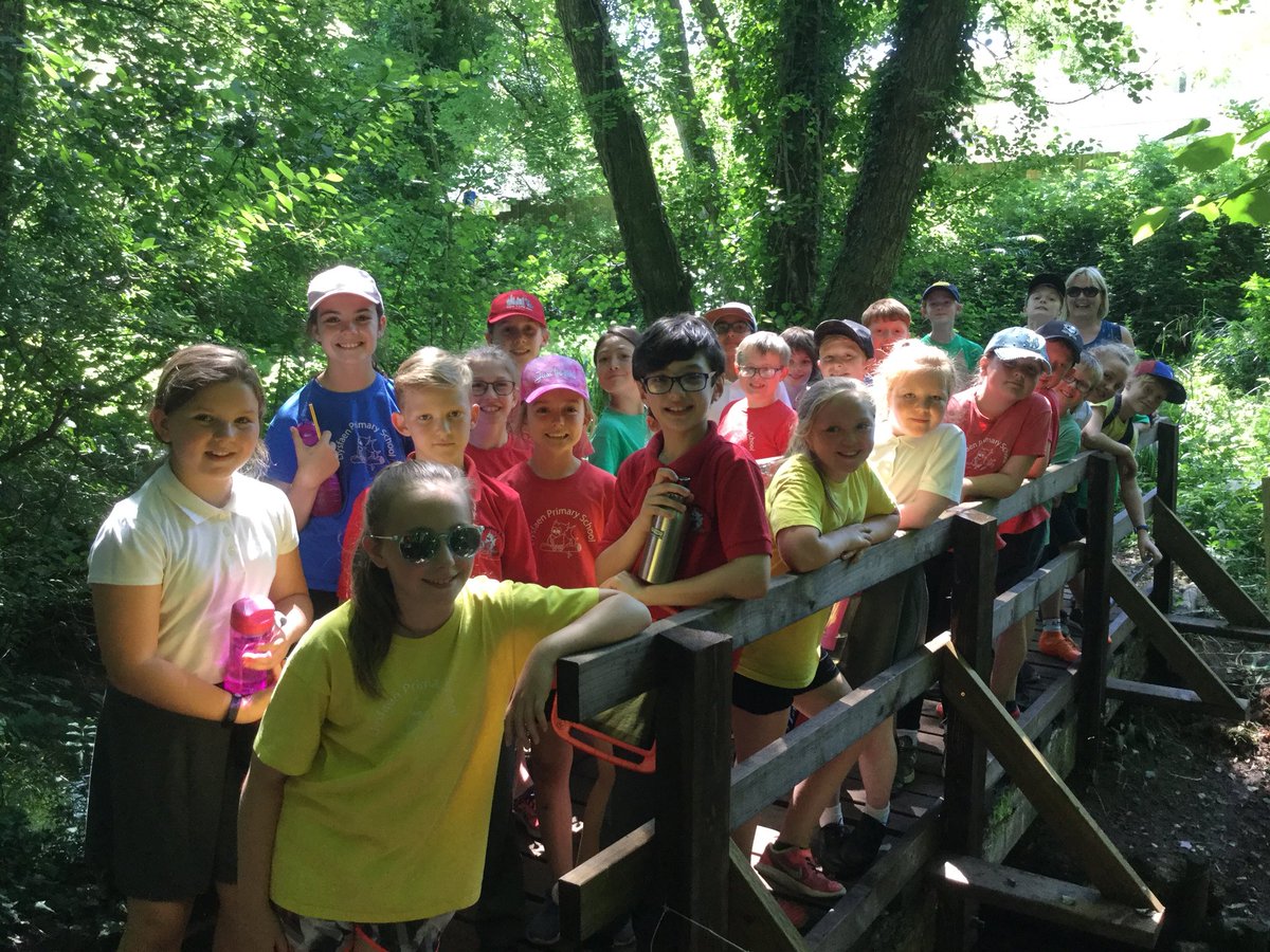 Another sunny afternoon in Coed y Felin Woods for Year 5 and Year 6 #stepoutdoors