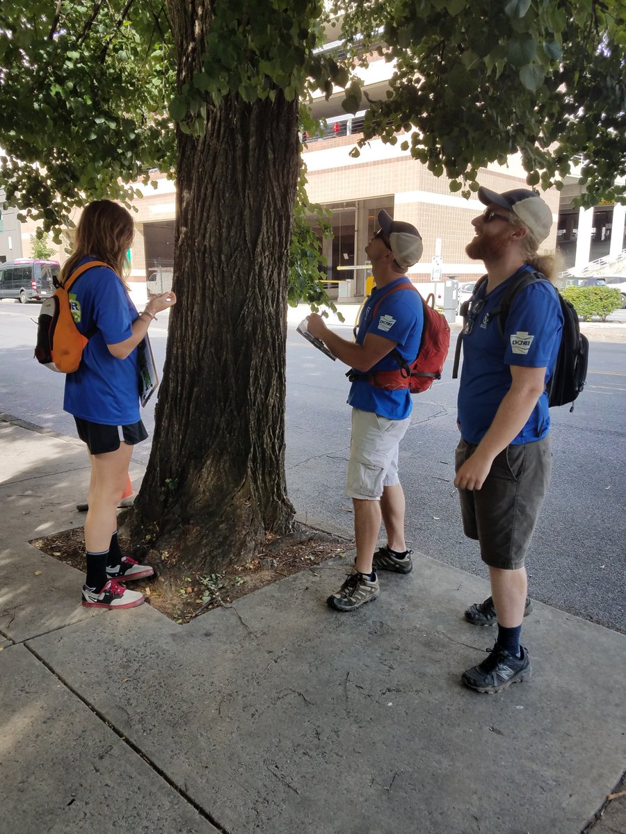 DCNRnews's tweet image. Members of the Harrisburg 10-month #PAOutdoorCorps crew help @TreeVitalize conduct street tree inventories in the @thecityofhbg to help with the planning, planting, maintenance, and removal of #communitytrees. Learn more about urban tree monitoring → bit.ly/2lBftYJ