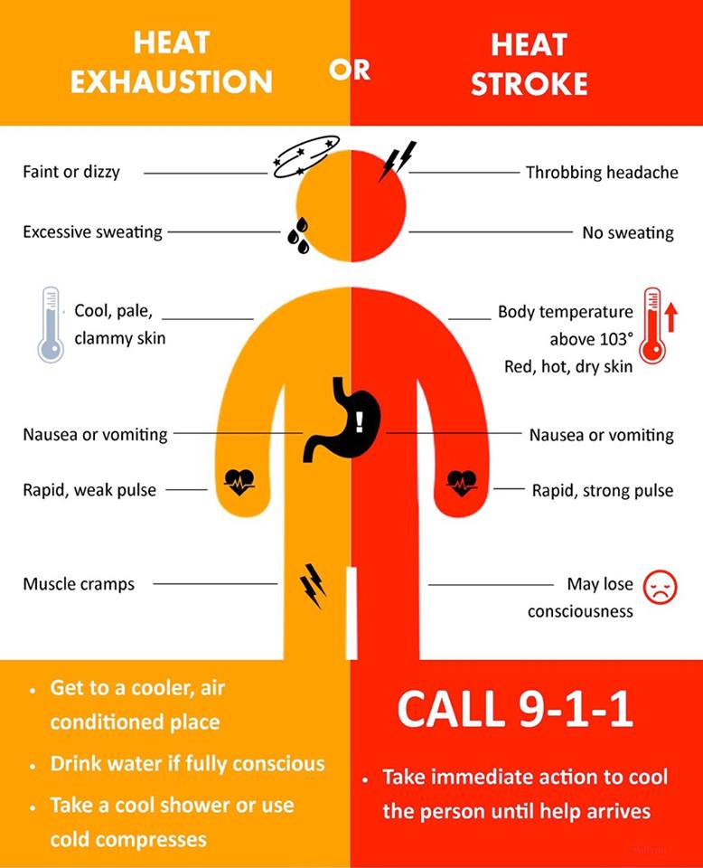 SaludHEALTHinfo's tweet image. RT @MiamiDadeFire
#MDFREnEspañol: Durante el clima cálido y húmedo, se desafía la capacidad de su cuerpo para refrescarse. Conozca los síntomas de la exposición excesiva al calor y las respuestas adecuadas con esta útil infografía.